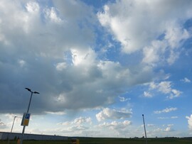 Waldzell
