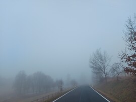 Wiesthal