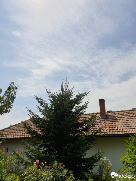 Szarvas