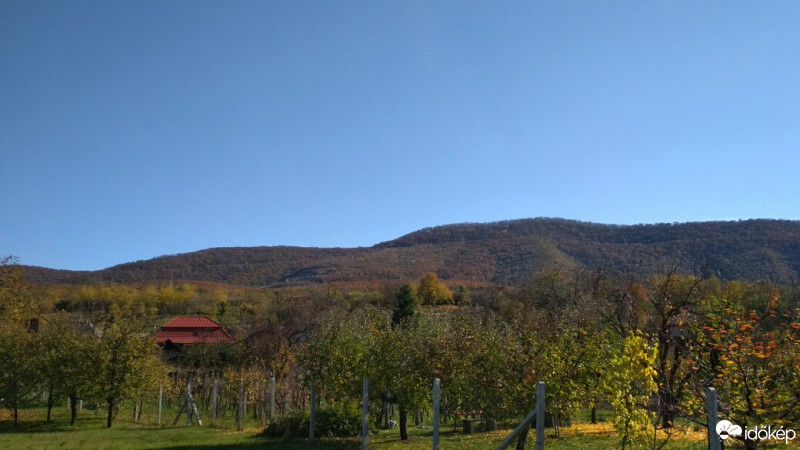Felsőtárkány