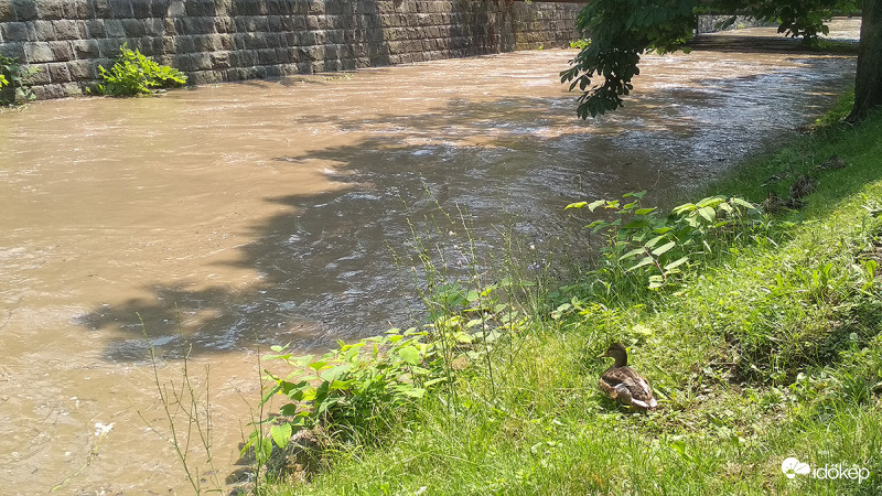 Katasztrófa-turista