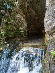 forrásbarlang 