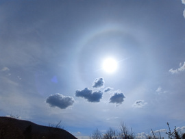 halos délelőtt 