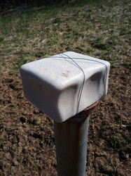 nyalósó 