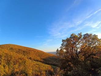 rozsdásodik a Bükk