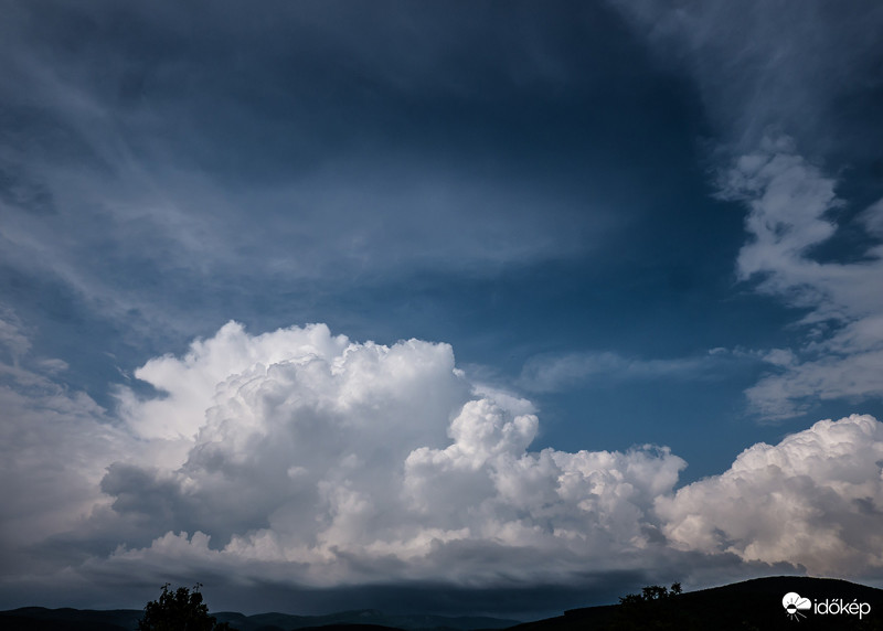 Vattacukrot tessék!