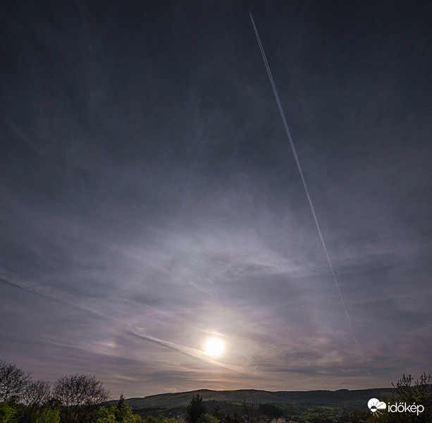 Haloív ma délután