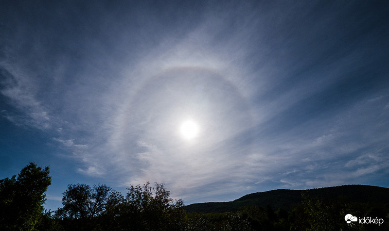 Reggeli kávéval és halokörrel
