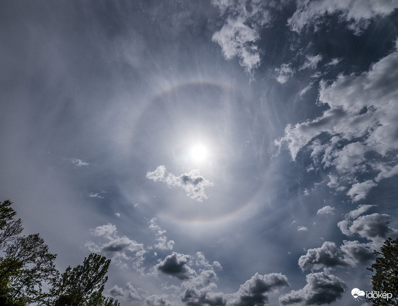 ebéd után halokör