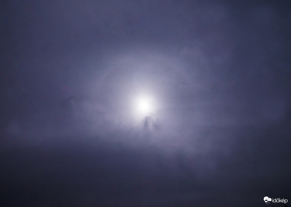 Halokör szeretne lenni