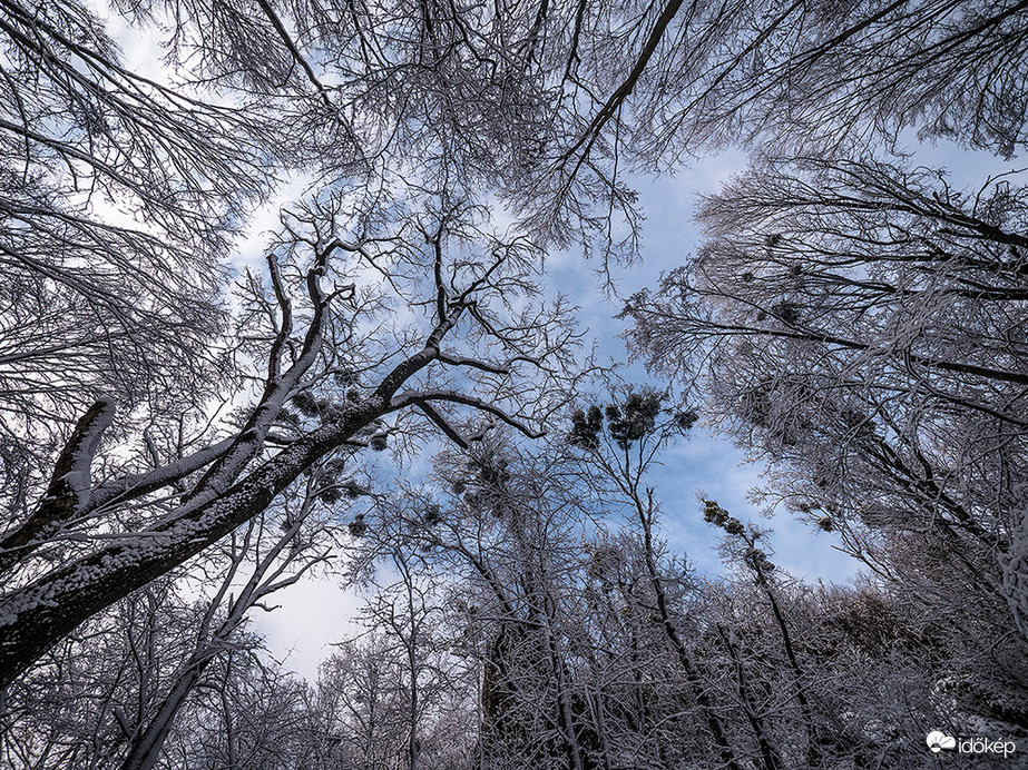 havas fagyöngy társaság