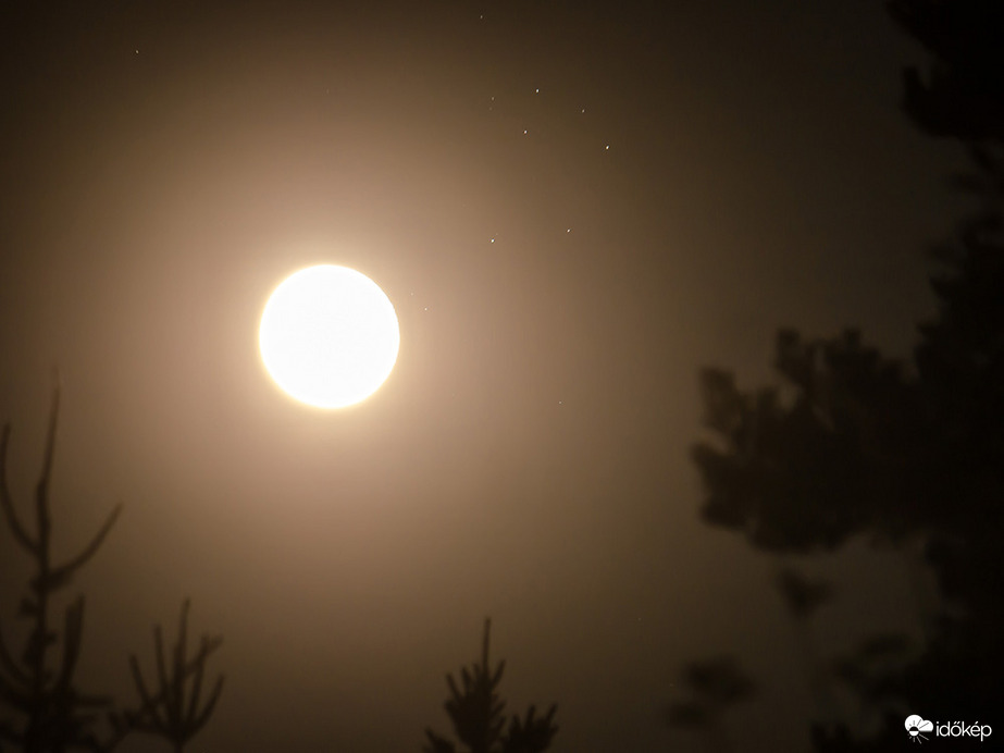 kelő Hold és Fiastyúk