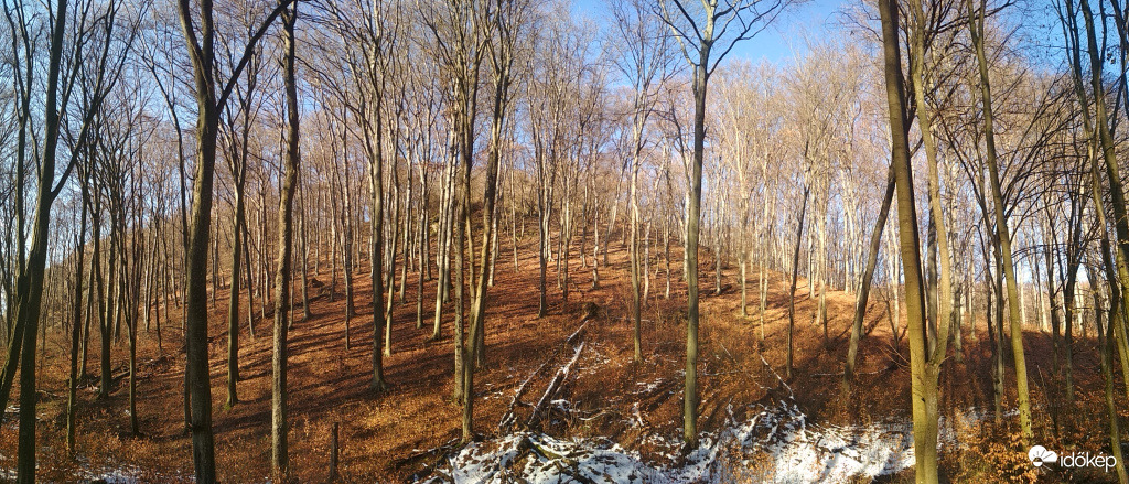 karácsonyi bükkös 