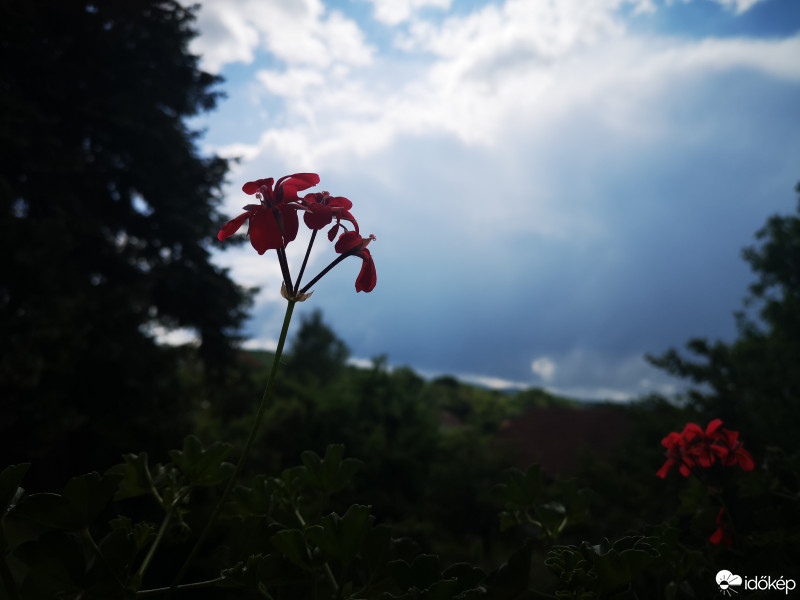 Miskolc