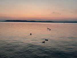 Balaton
