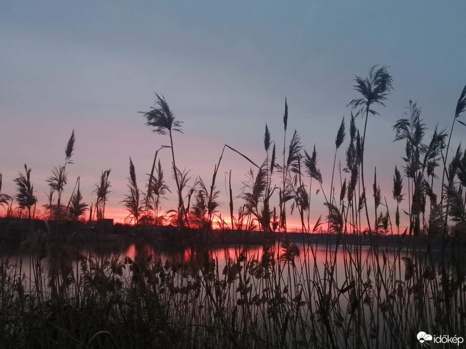 Görbeéri tó 02.16. Nád mögött 