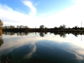 Görbeéri-tó január 24.