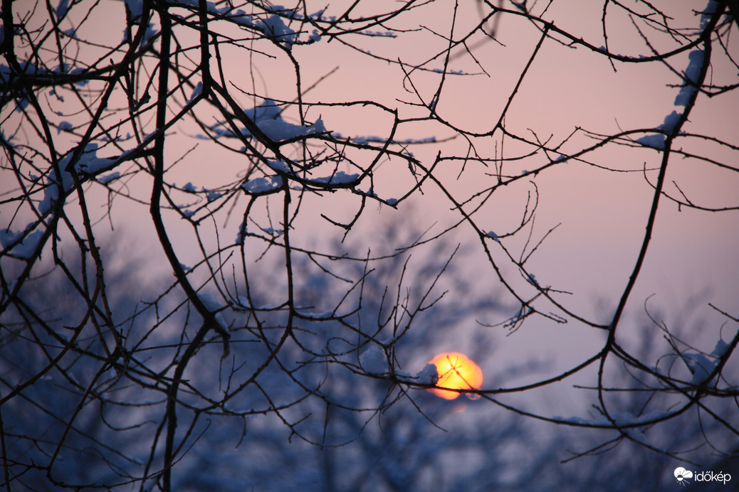Napkorong a havas ágakon