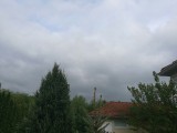 Erdőkertes