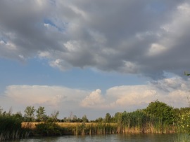 Távoli üllők
