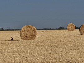 Hűsölünk