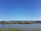 Balatonföldvár