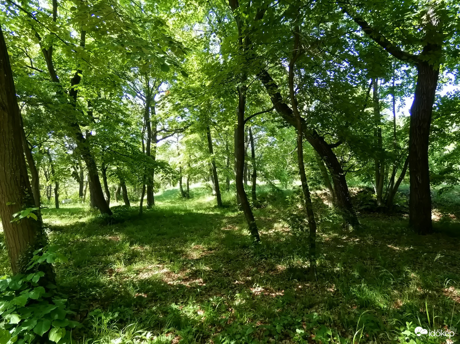 Balatonfüred