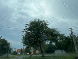 Buják