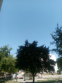 Oroszlány
