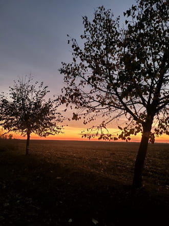Felsőszentiván