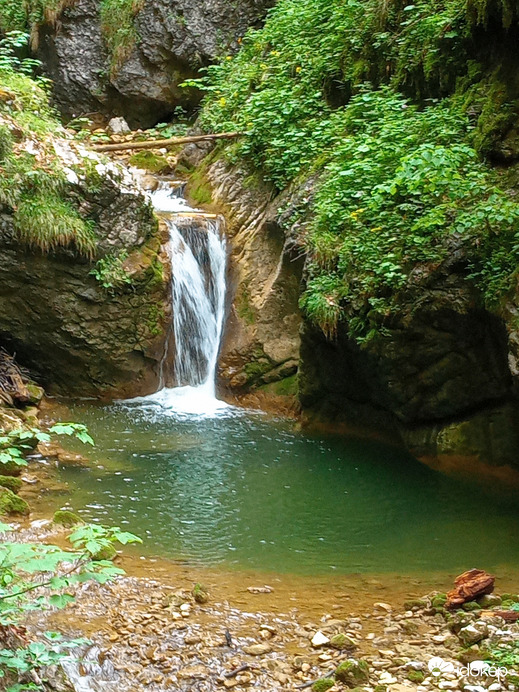 Medve-szurdok