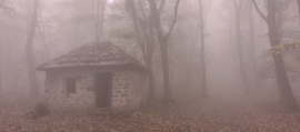 Ház az erdő mélyén 