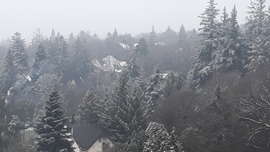 Sopron