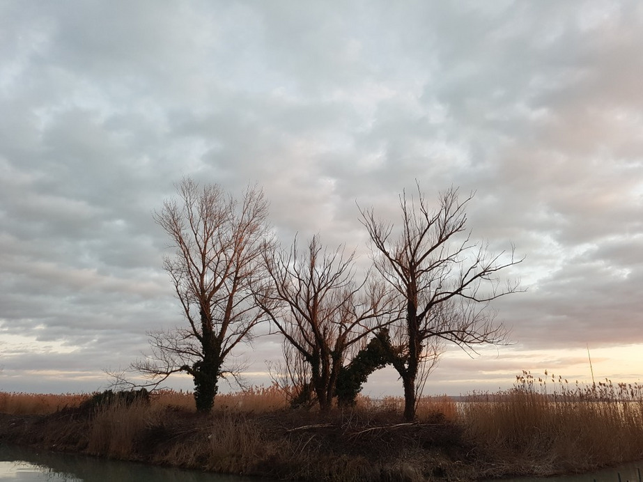 Balatonakali