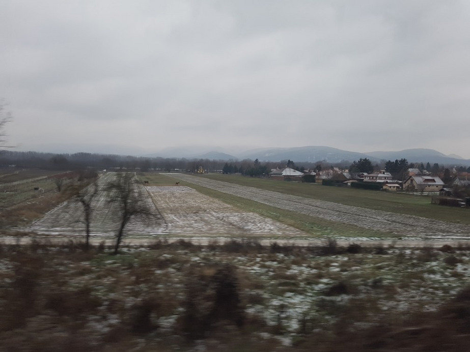 Vác-Nyulas