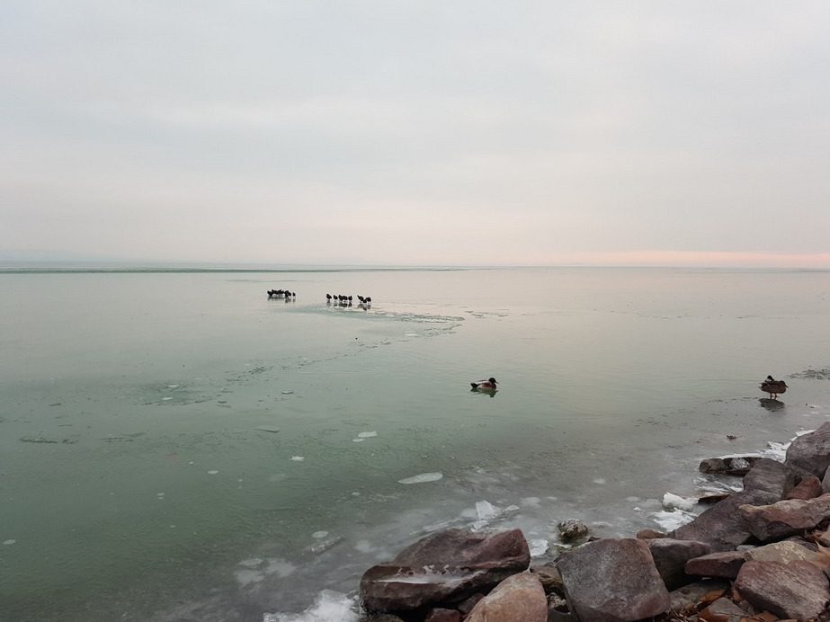 Balatonakali