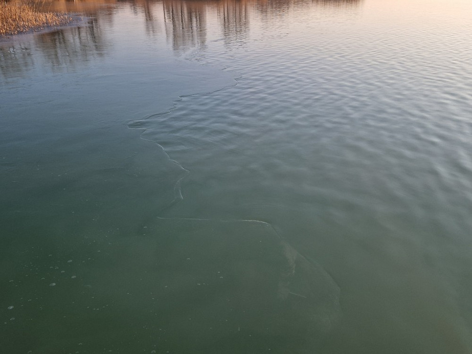 Balatonakali