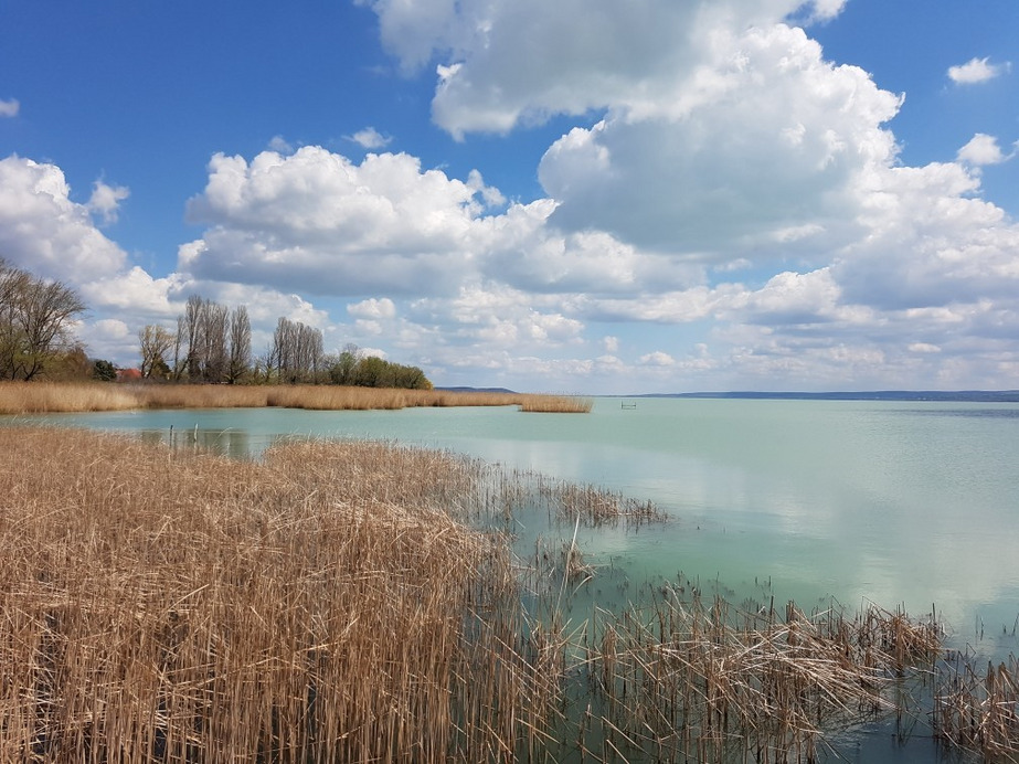 Balatonakali
