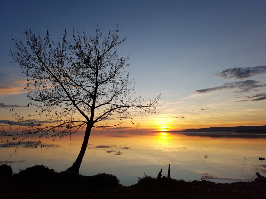 Balatonakali