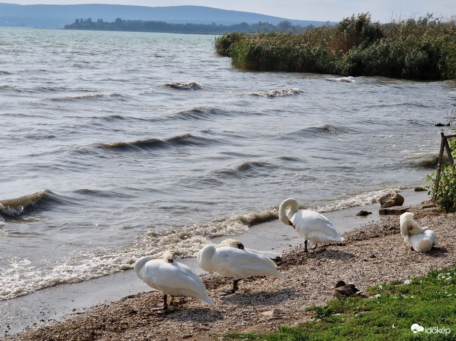 Balatonakali