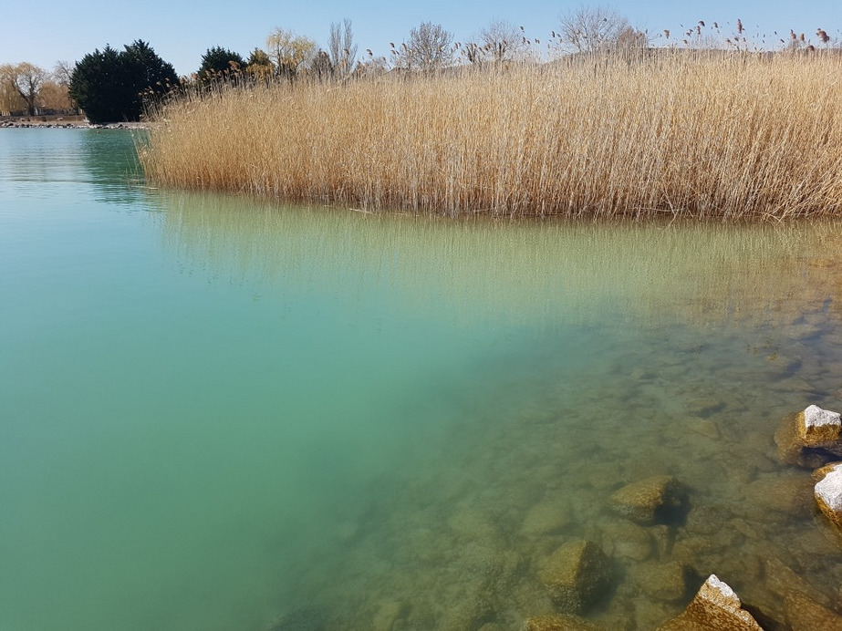 Balatonudvari