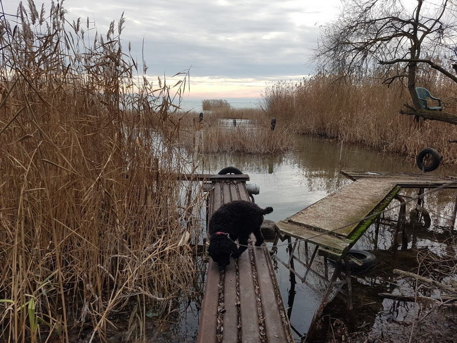 Balatonakali