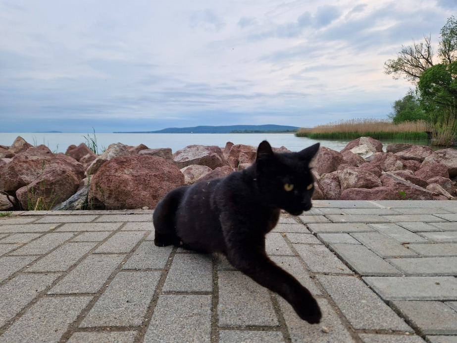Balatonakali
