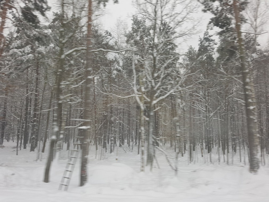 Tychy