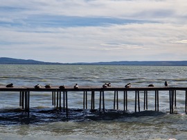 Balatonakali