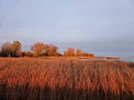 Balatonakali