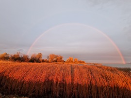 Balatonakali