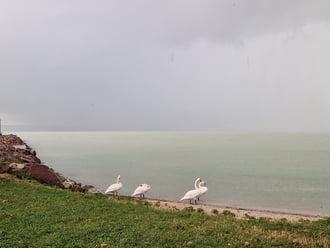 Balatonakali