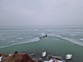 Balatonakali