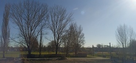 Isaszeg